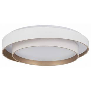 Светильник потолочный EVOLUCE CROSBY SLE6009-502-01