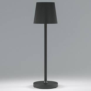 Настольная лампа ELEKTROSTANDARD MIST a063970