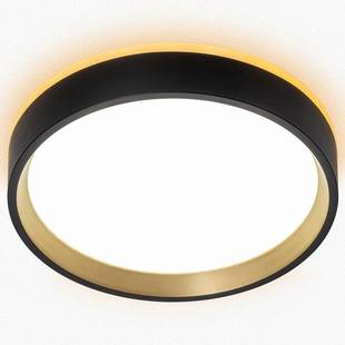 Светильник потолочный CITILUX ETALON CL750181