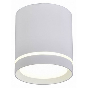 Спот OMNILUX CAPURSO OML-102409-05
