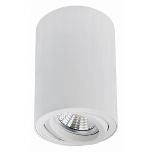 Спот ARTE LAMP SENTRY A1566PL-1WH