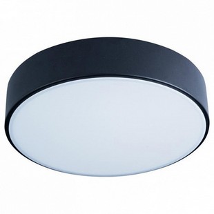 Светильник потолочный LOFT IT AXEL 1 10002/12 Black
