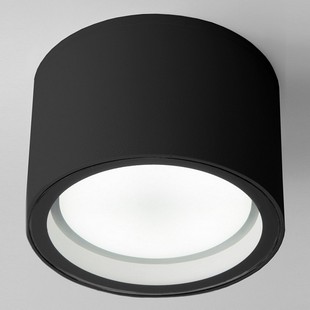 Светильник уличный потолочный ELEKTROSTANDARD LIGHT a057868