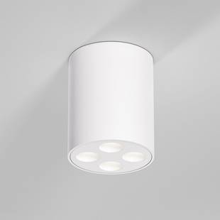 Спот ELEKTROSTANDARD POINTS 25111/LED 7W 4000K белый a067483