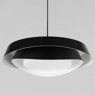 Подвес LOFT IT PETALE 10256P Black