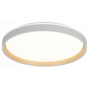 Светильник потолочный CITILUX ENZO CL753510G