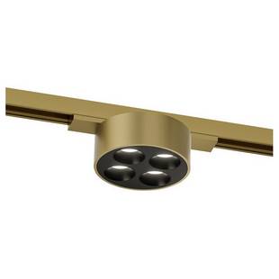 Трековый светильник DENKIRS SHINE GRILL DK5772-SB