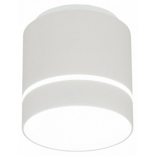 Спот CITILUX БОРН CL745020N