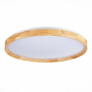 Светильник потолочный EVOLUCE DELIA SLE201382-01