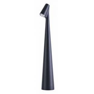 Настольная лампа ARTE LAMP FUSION A3283LT-2BK