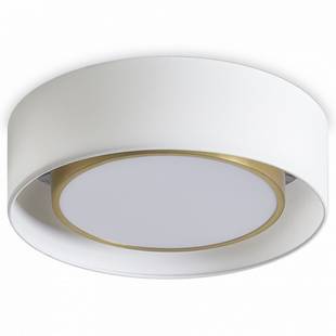 Светильник потолочный FREYA COZY FR6170CL-L52BS