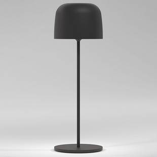 Настольная лампа ELEKTROSTANDARD BITTY a069002