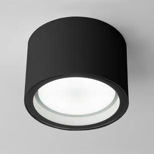 Светильник уличный потолочный ELEKTROSTANDARD LIGHT 4690389180835