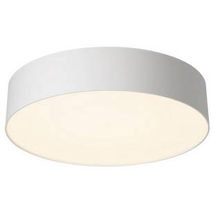 Светильник потолочный CITILUX BART CL755290