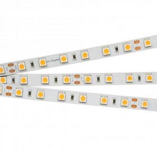 Лента LED RT 2-5000 14,4 W/m 24V IP20 5060/60 7700-9600K 10mm (5м) 013757(1) ARLIGHT