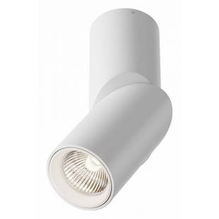 Спот MAYTONI DAFNE C027CL-L10W4K