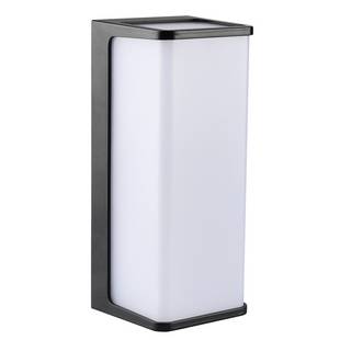 Светильник уличный настенный ARTE LAMP LANCIA A6419AL-1BK