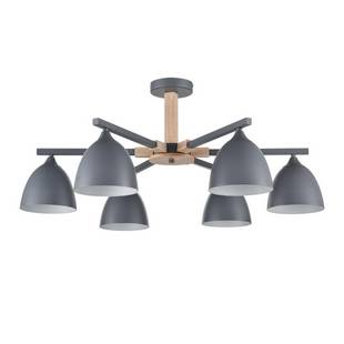 Люстра потолочная LUMION COLANGE 8096/6C