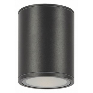 Светильник уличный потолочный MAYTONI BAR O306CL-L12GF