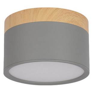Светильник потолочный LOFT IT GRAPE 10162 Grey