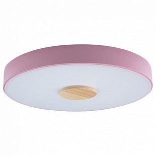 Светильник потолочный LOFT IT AXEL 2 10003/24 Pink