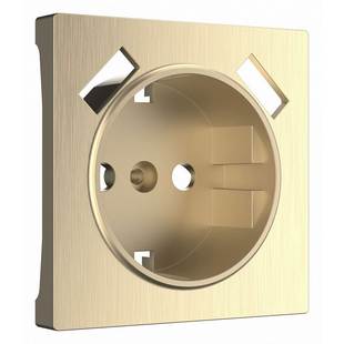 Накладка розетки с з/к + 2xUSB, шампань рифленый, W1179510, WERKEL