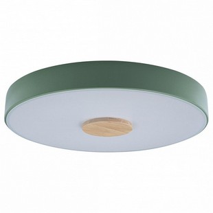 Светильник потолочный LOFT IT AXEL 2 10003/24 Green
