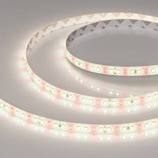 Лента LED FITOLUX-SE-A144 14 W/m 24V IP65 2835/144 5000K 10mm (5м) 38171 ARLIGHT