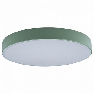 Светильник потолочный LOFT IT AXEL 1 10002/24 Green