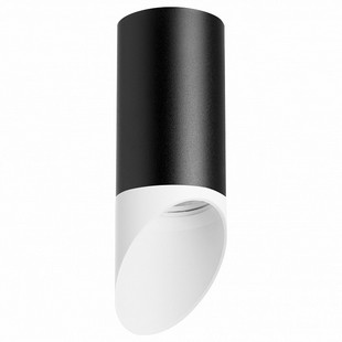 Спот LIGHTSTAR RULLO 2 R43736