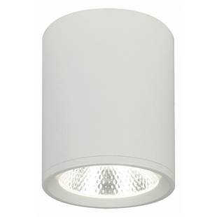 Спот ESCADA 20003 20003SMU/02LED SWH
