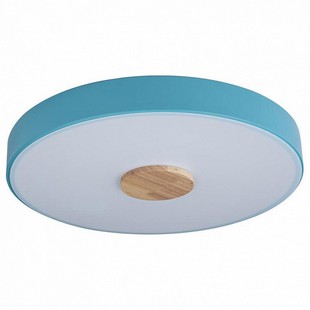 Светильник потолочный LOFT IT AXEL 2 10003/24 Blue
