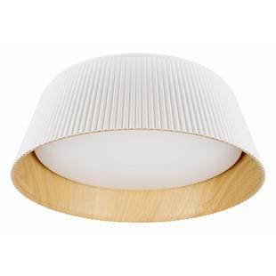 Светильник потолочный LOFT IT EVANS 10224 White