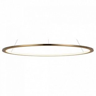 Подвес LOFT IT RING 10014L