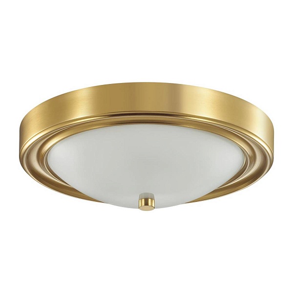 Светильник потолочный LUMION NINA 5259/2C