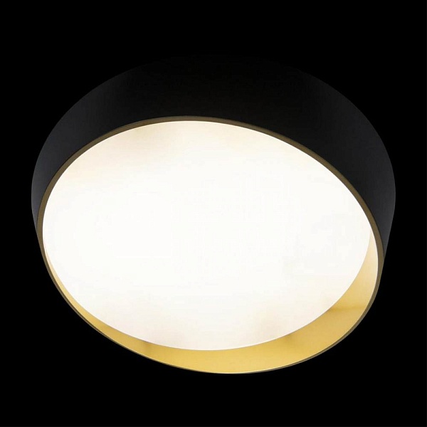 Светильник потолочный LOFT IT COIN 10199 Black
