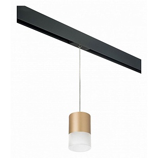 Трековый светильник LIGHTSTAR RULLO PRORP349081