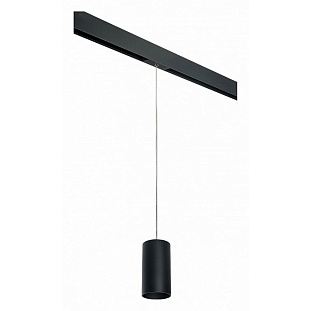 Трековый светильник LIGHTSTAR RULLO PRORP6487