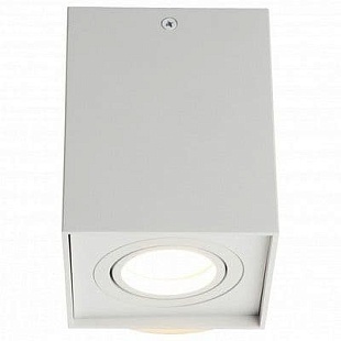 Спот OMNILUX FELETTO OML-101109-01