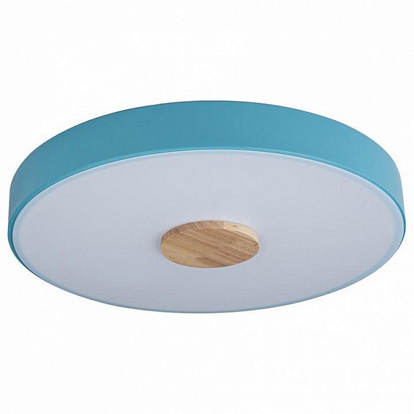 Светильник потолочный LOFT IT AXEL 2 10003/24 Blue
