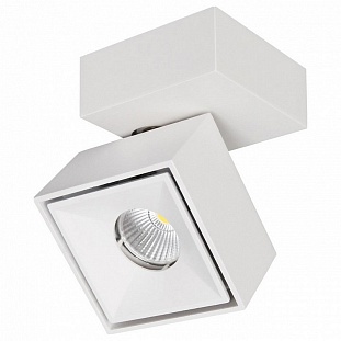 Спот CITILUX СТАМП CL558020N