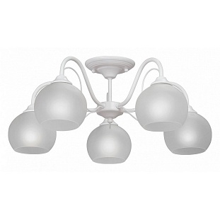Люстра потолочная VITALUCE 3948 V3948-0/5PL