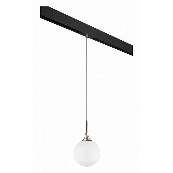 Трековый светильник LIGHTSTAR GLOBO PRO813023