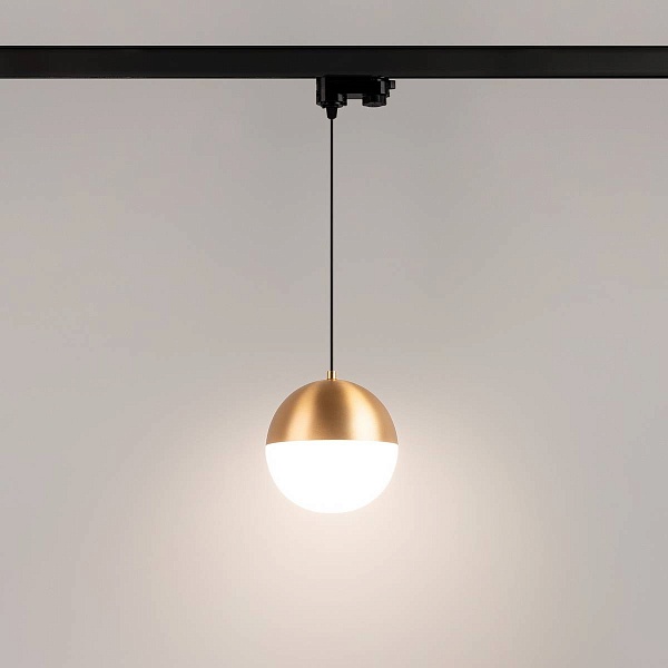 Трековый светильник ARLIGHT EMISFERO 35939