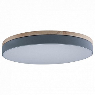 Светильник потолочный LOFT IT AXEL 10001/36 Grey