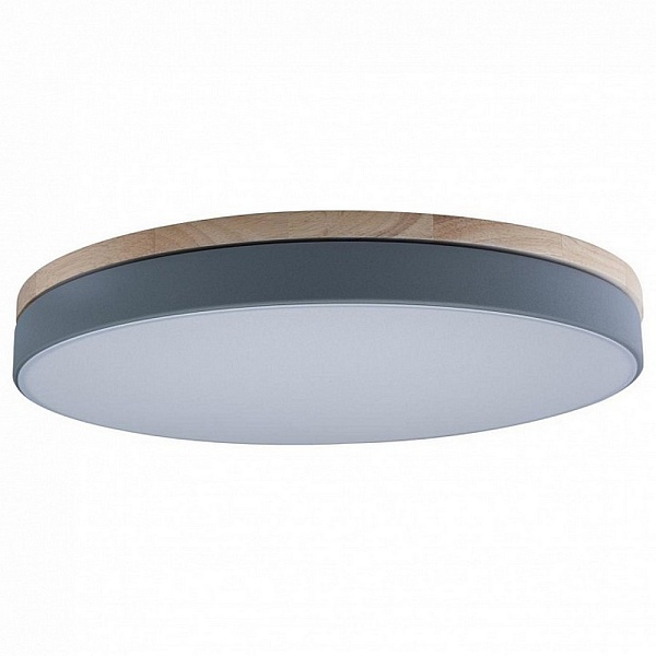 Светильник потолочный LOFT IT AXEL 10001/36 Grey