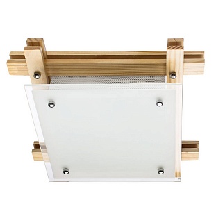 Светильник потолочный ARTE LAMP Archimede A6460PL-2BR