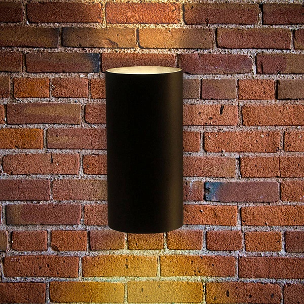 Светильник уличный настенный ARTE LAMP ALCYONE A6109AL-2BK