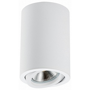 Спот LIGHTSTAR RULLO 214406