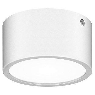 Светильник уличный потолочный LIGHTSTAR ZOLLA 380164